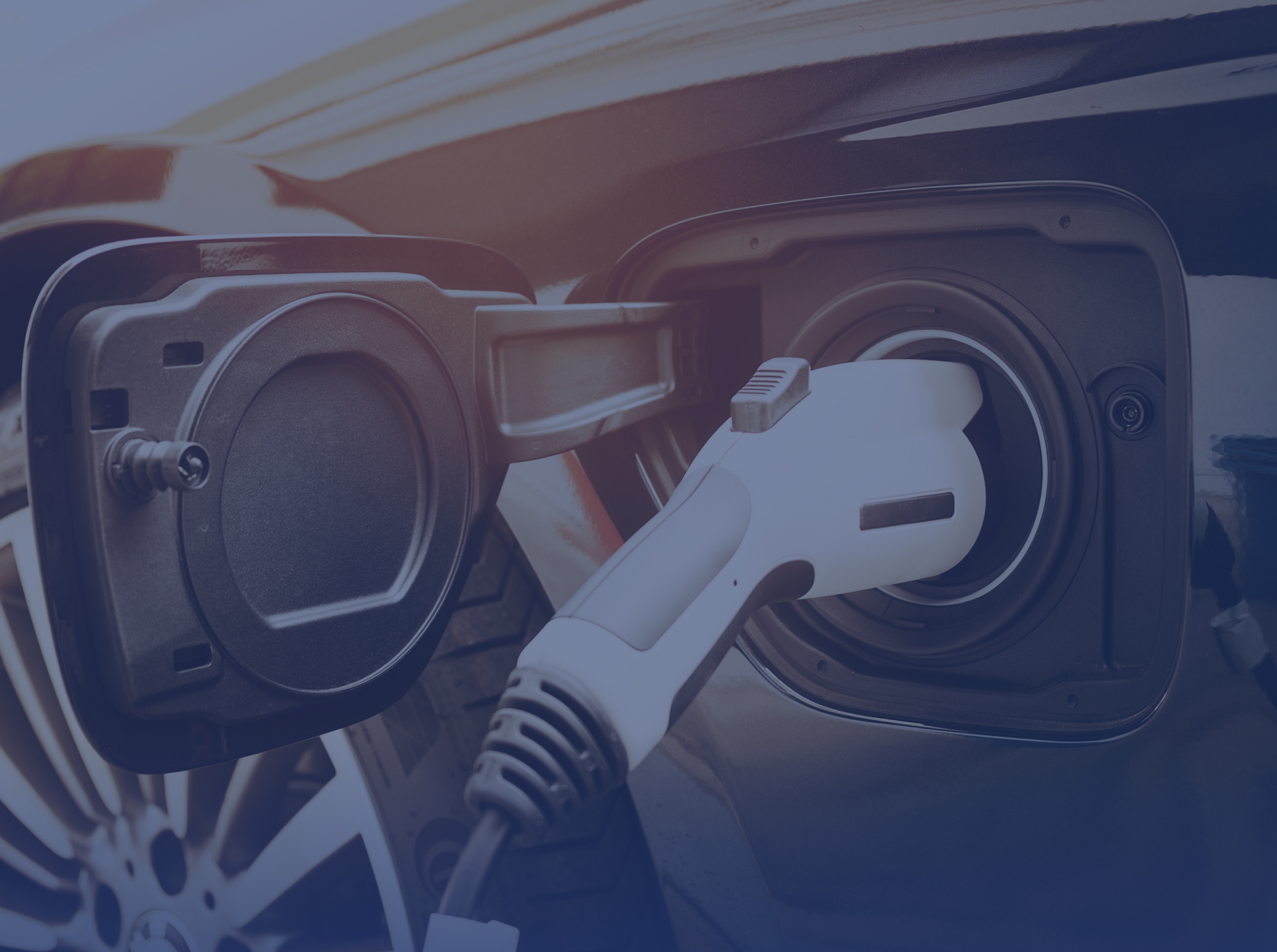 Home Page – Slider Revolution